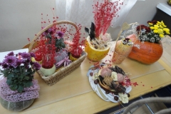 DSC06680-FILEminimizer