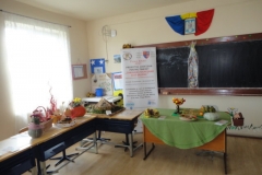 DSC06756-copy-FILEminimizer