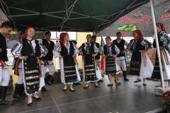 DSC06980-FILEminimizer